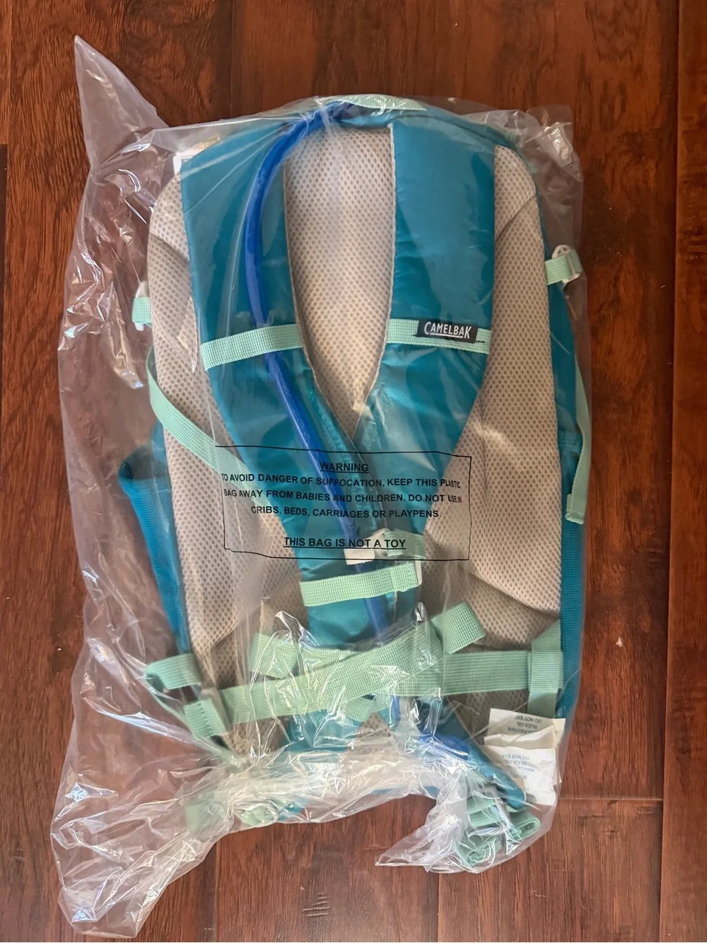 Camelbak daypack strap